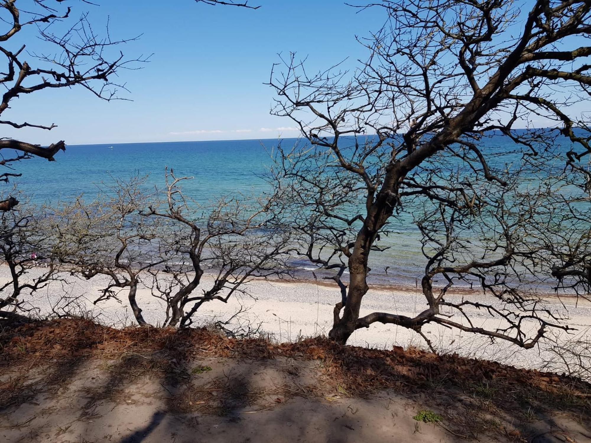 Strandnahe Finnhuette Elmenhorst/Lichtenhagen Kültér fotó